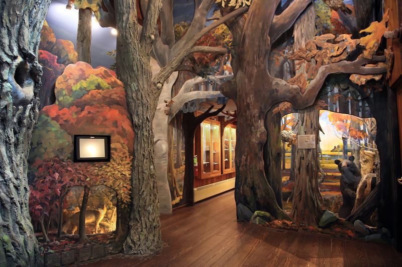 10 Connecticut Wildlife Sanctuaries And Rescue Centers Where Animal Lovers Can Get An Up-Close Look - Decor Hint Roaring Brook Nature Center, Canton