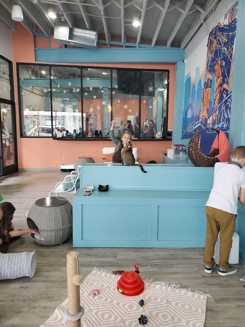 A Genuinely Great Spot For A Date Or A Casual Outing With Friends