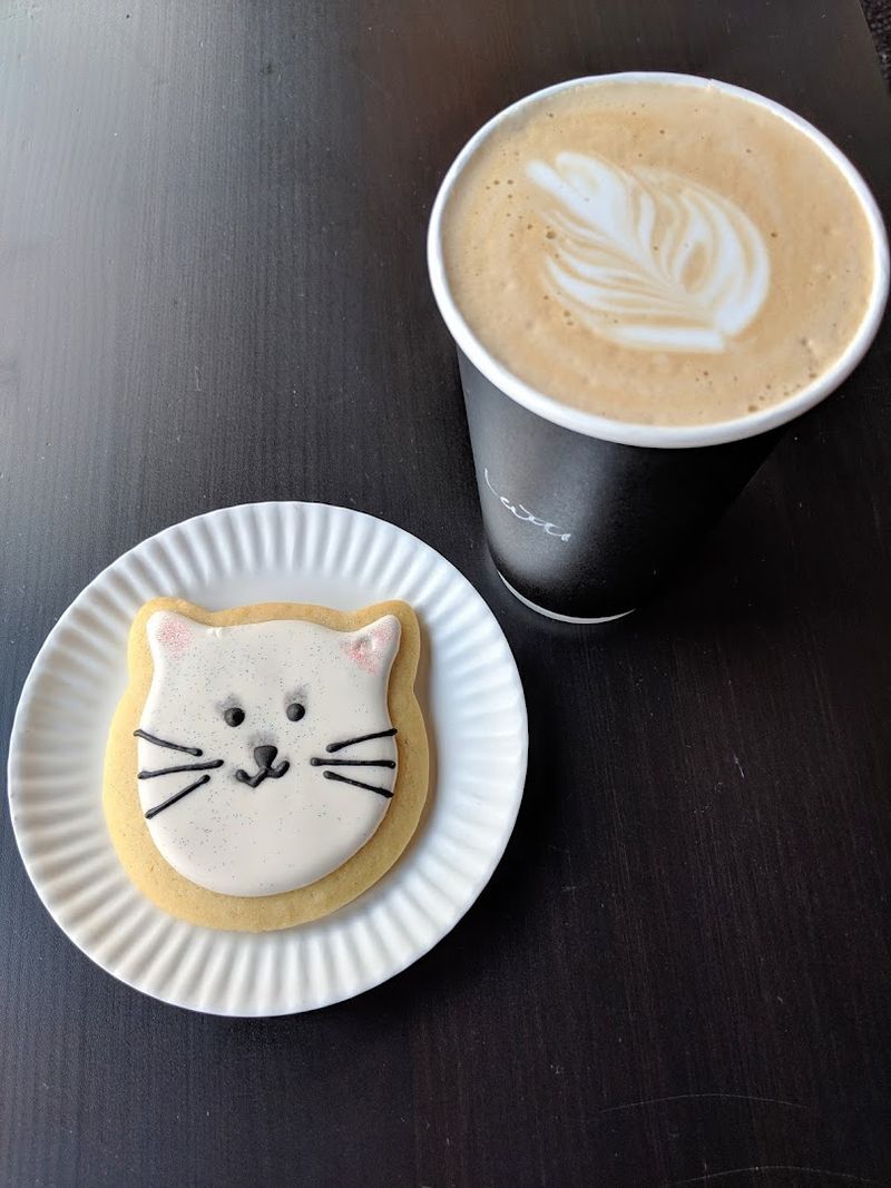Cat Lovers Are Completely Smitten With This Wisconsin Café - Decor Hint Why Reservations Are Non-Negotiable