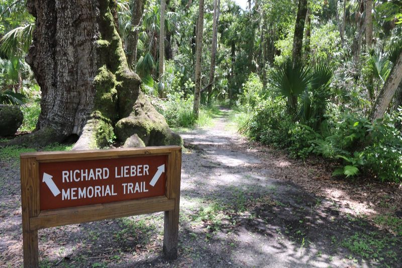 Parks, Trails, And Natural Spaces