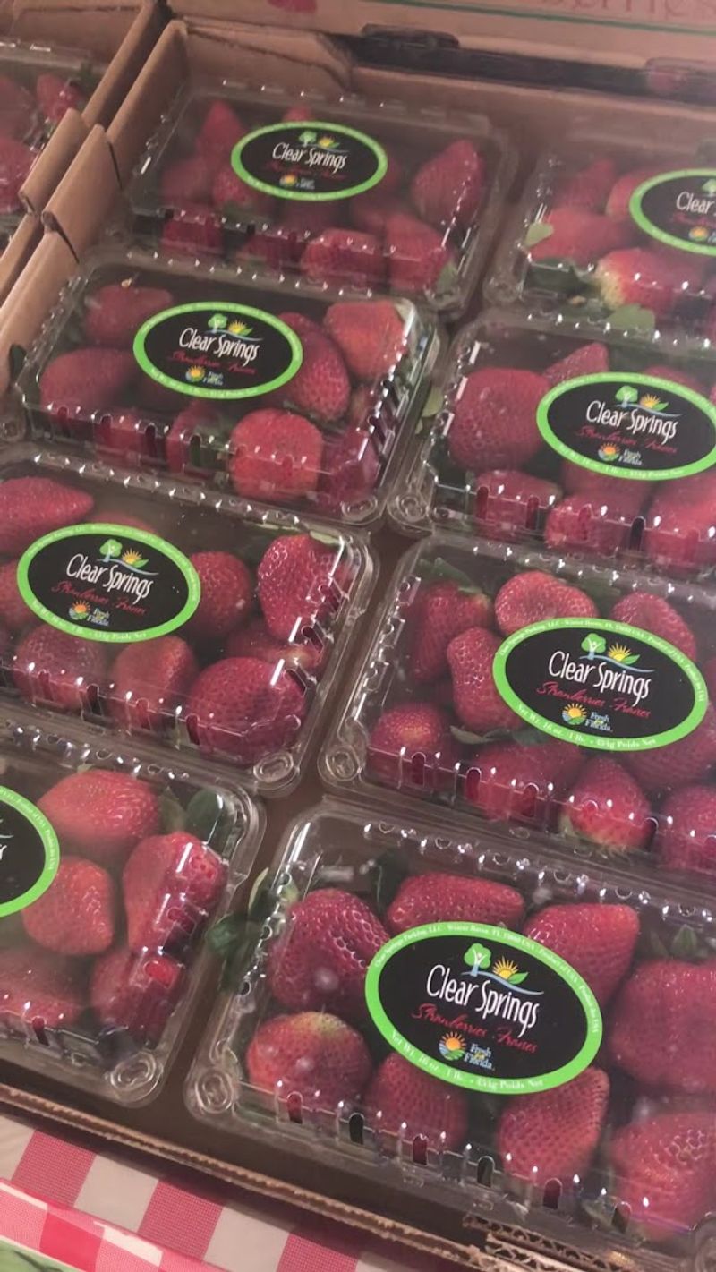 The Tiny Florida Town Where Life Feels Slower, Softer, And Surprisingly Affordable - Decor Hint Wauchula State Farmers' Market