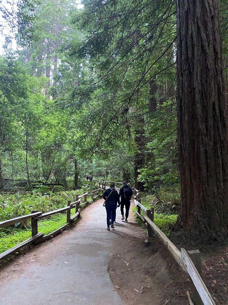 Pair The Beach With Nearby Mount Tamalpais