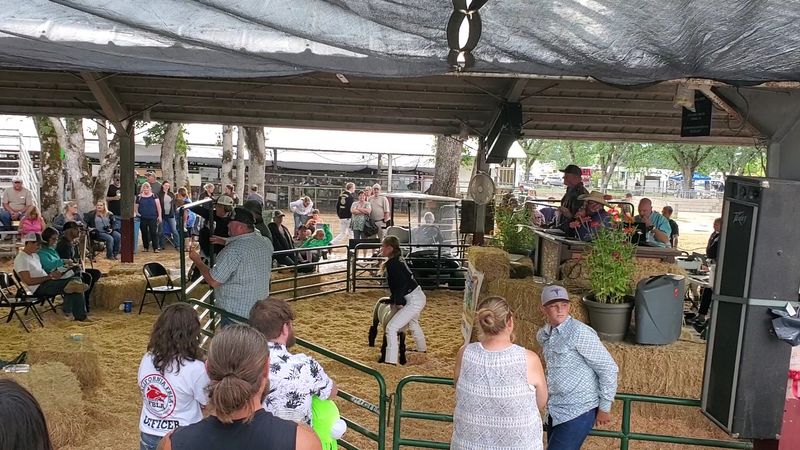 14 California Fairs That Make July Feel Like One Big Summer Celebration - Decor Hint Trinity County Fair, Hayfork, July 9–12