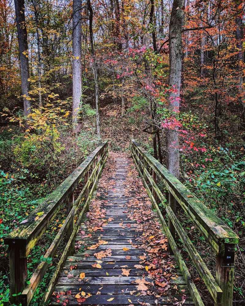 White Clay Creek State Park, Newark
