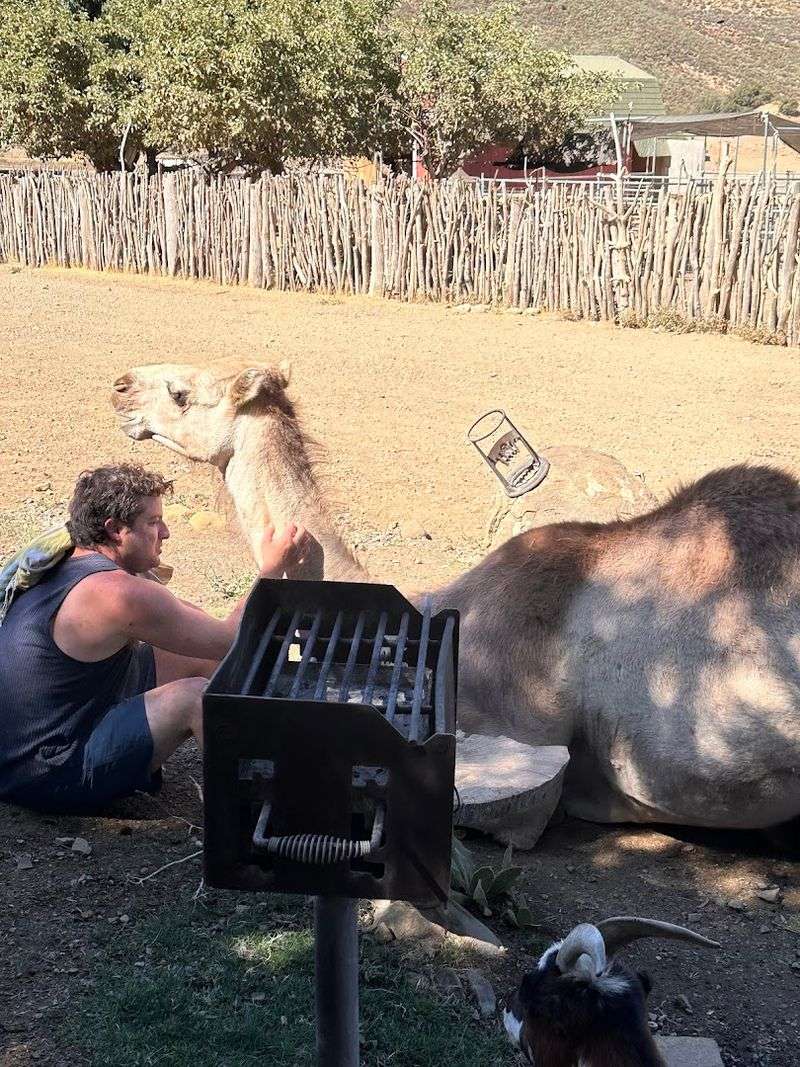 Animal Encounters Feel Personal, Not Theme-Parky