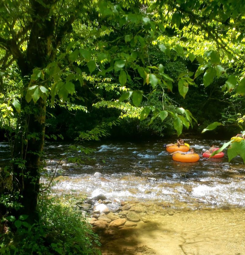 A Deep Creek Tubing Trip Makes A Hot Summer Day In North Carolina Feel Instantly Better - Decor Hint Deep Creek Makes Floating Around Feel Like A Summer Strategy