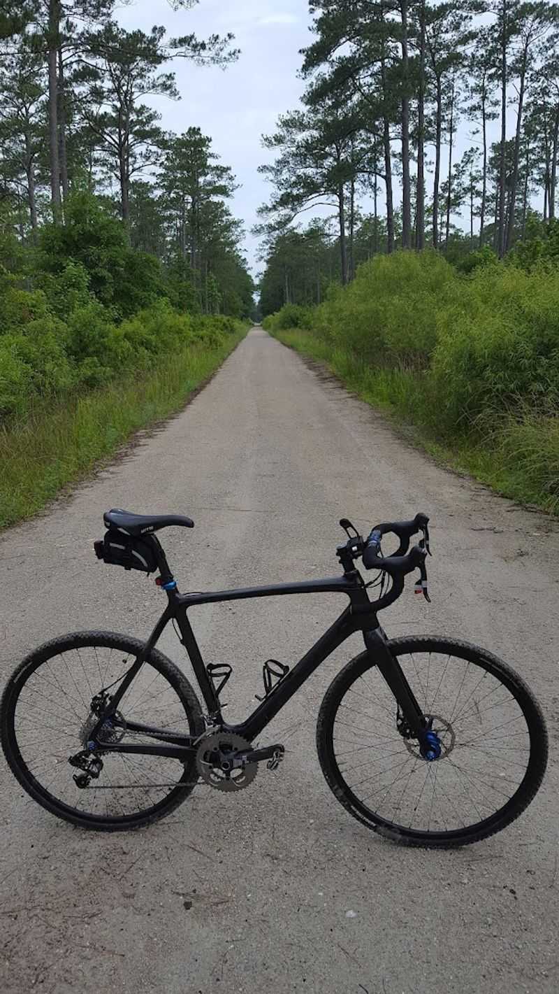 Croatan National Forest Gravel Roads