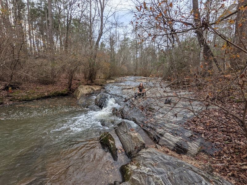 This Underrated State Park In Georgia Is So Little Known That Even Locals Don't Know It Exists - Decor Hint Miles Of Hiking Trails Through Quiet Woods