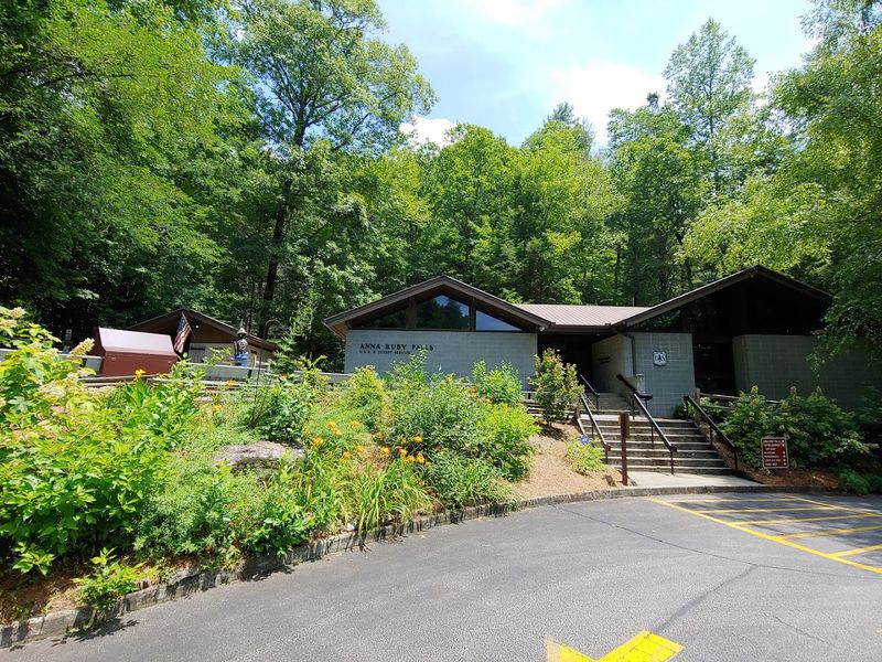 Picnic Area With Grills And Tables For A Relaxed Outing