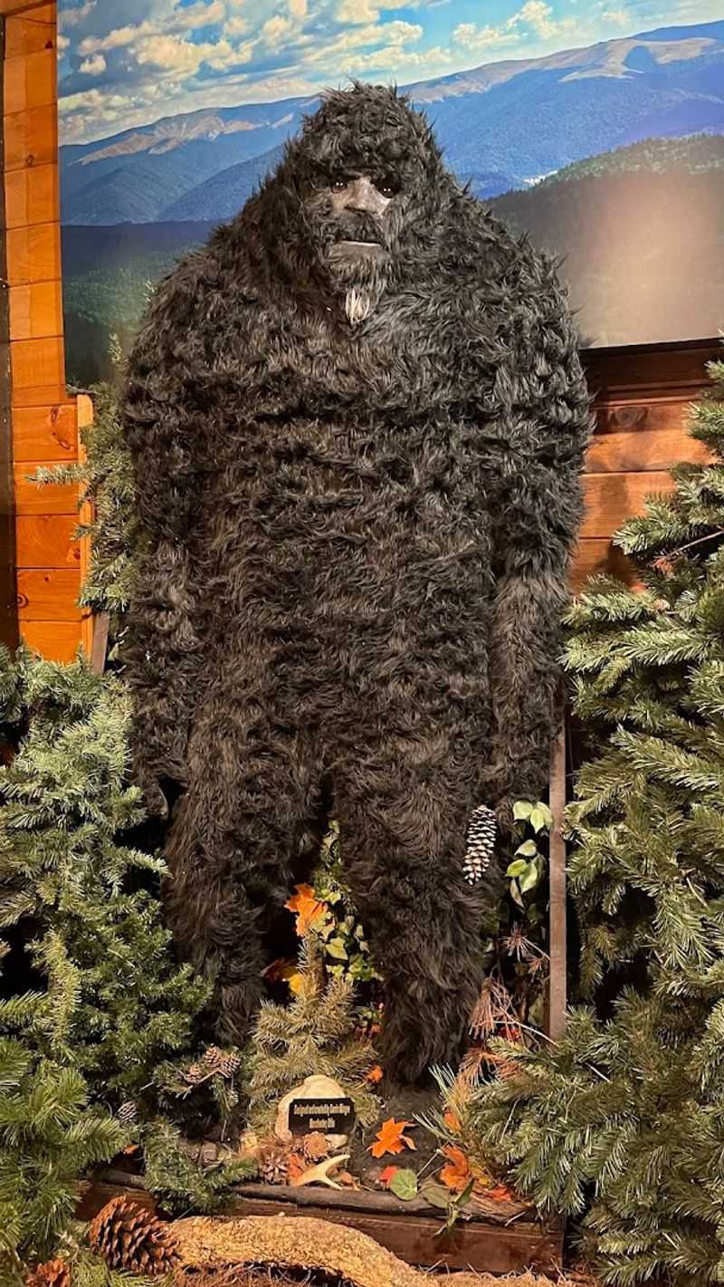 This Fascinating Georgia Museum Is Devoted Entirely To The Long Hunt For Bigfoot - Decor Hint Life-Size Sasquatch Figures That Stop You In Your Tracks
