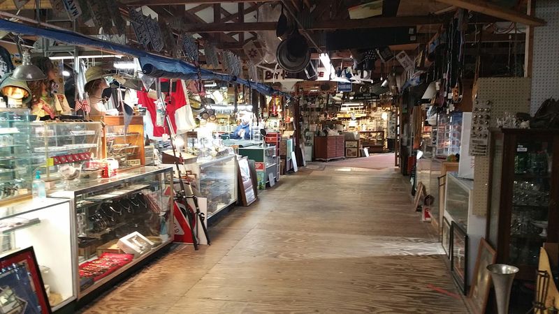 Free Admission Every Single Weekend