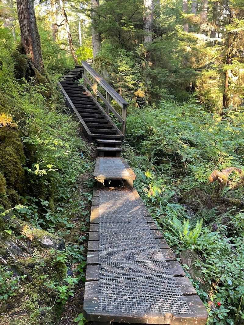 Hiking Trails Worth Every Step