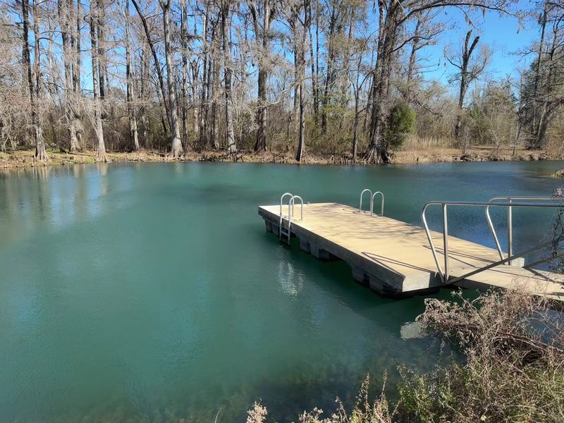 Beneath This Beloved Florida State Park Lies A Remarkable Underground Wonder - Decor Hint Blue Hole Spring And The Chipola River Adventure