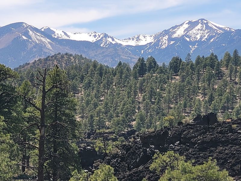 The Bonito Vista Trail Delivers Panoramic Views Worth Every Step