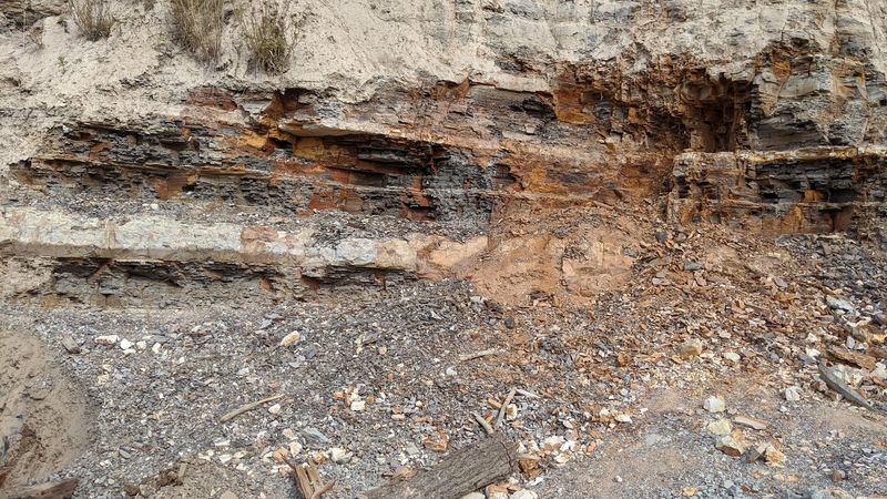 A Hands-On Fossil Site Makes The Past Feel Shockingly Close