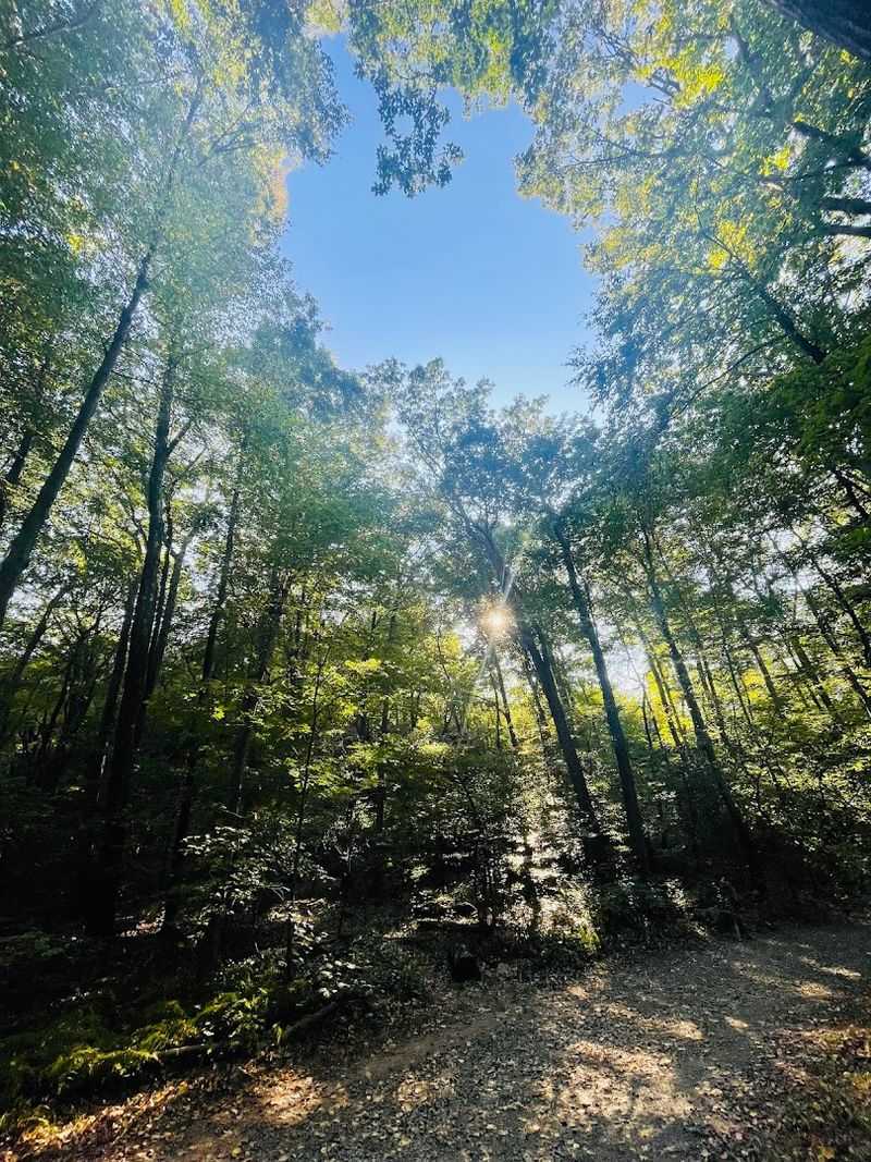 Wildlife, Birding, And Quiet River Moments