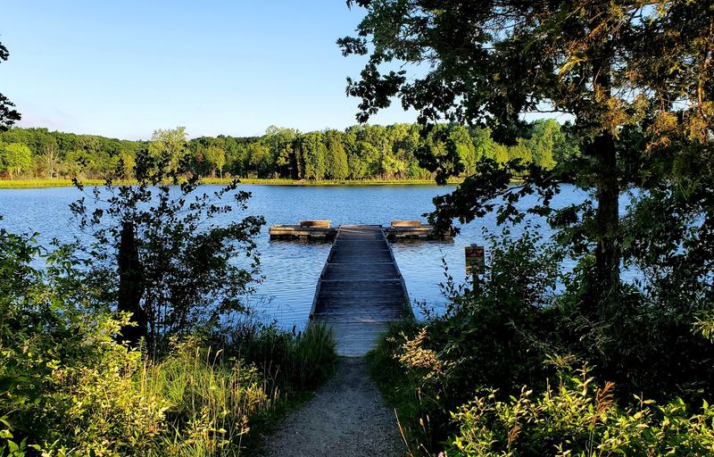 This Scenic Michigan Boardwalk Feels Like A Walk Through Another World - Decor Hint The 312-Foot Boardwalk And Fishing Dock At The North Unit