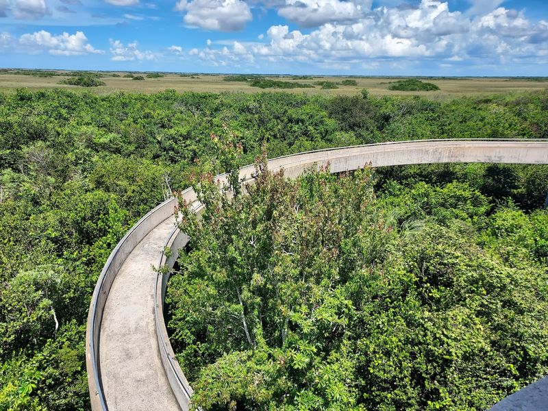 10 Florida Trails Where Easy Walks Lead To Surprisingly Unforgettable Views - Decor Hint Shark Valley Tram Trail