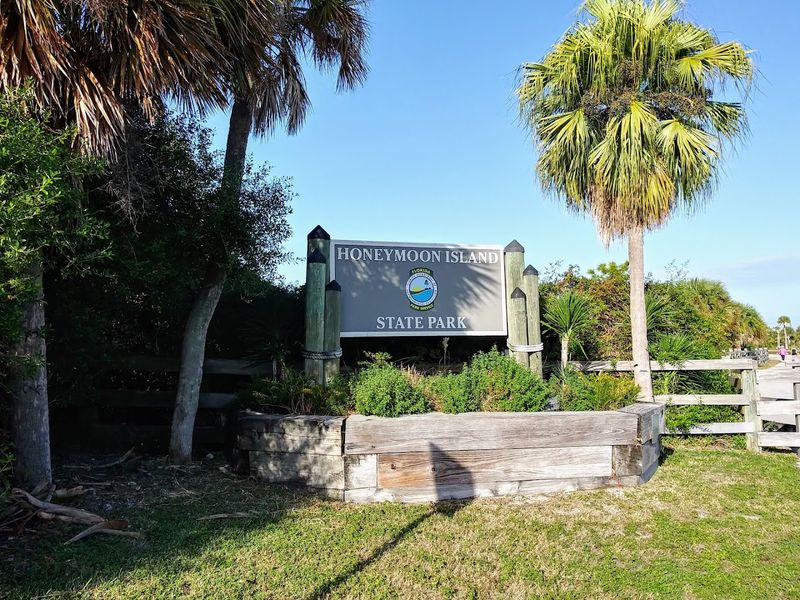 17 Incredible Florida Islands That Belong On Every Weekend Getaway List - Decor Hint Honeymoon Island State Park
