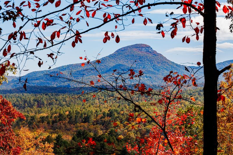 Laurel Ridge Trail - Helen, GA 30545