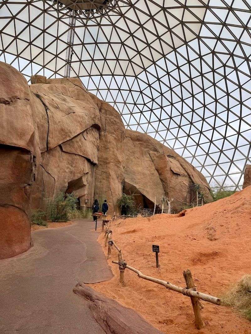 What Makes The Zoo Rank Among The Best In The World