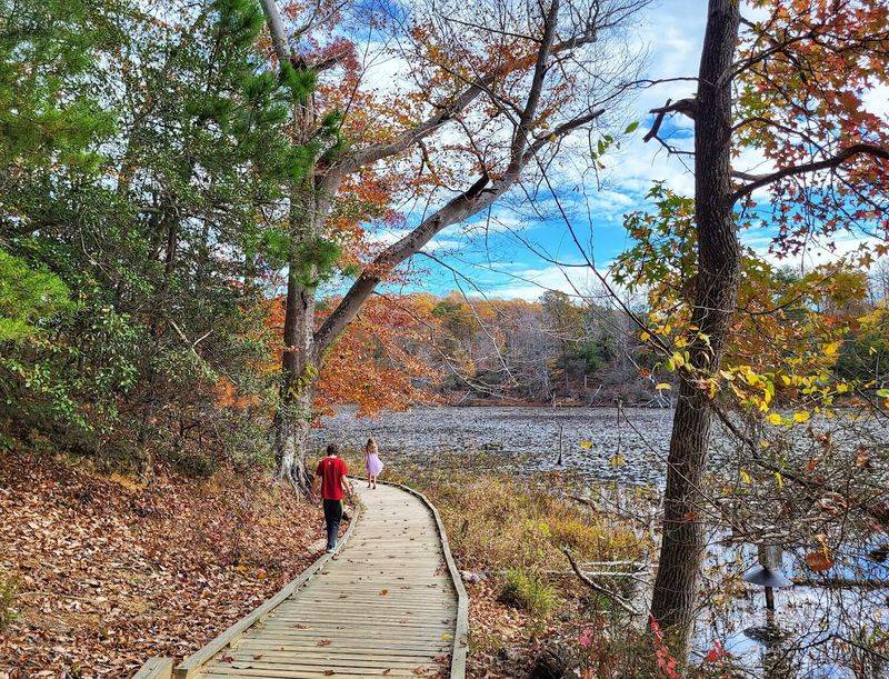 Calvert Cliffs State Park