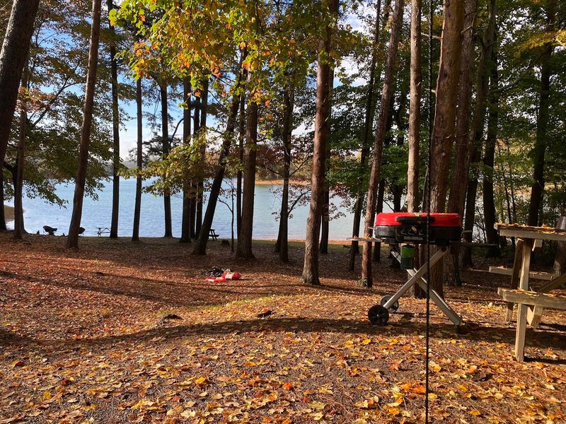 This Beautiful Hidden Mountain Fairgrounds In Georgia Is A Magical Escape From The City - Decor Hint Camping Right On The Fairgrounds