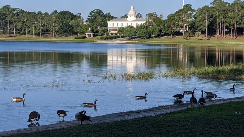 10 Budget-Friendly Florida Getaways That Feel Like A Real Vacation - Decor Hint DeFuniak Springs