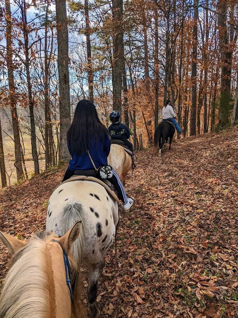 13 Family-Friendly Horseback Riding Ranches Across Georgia That Make A Weekend Feel More Adventurous - Decor Hint Cowgirl Up Stables, LLC