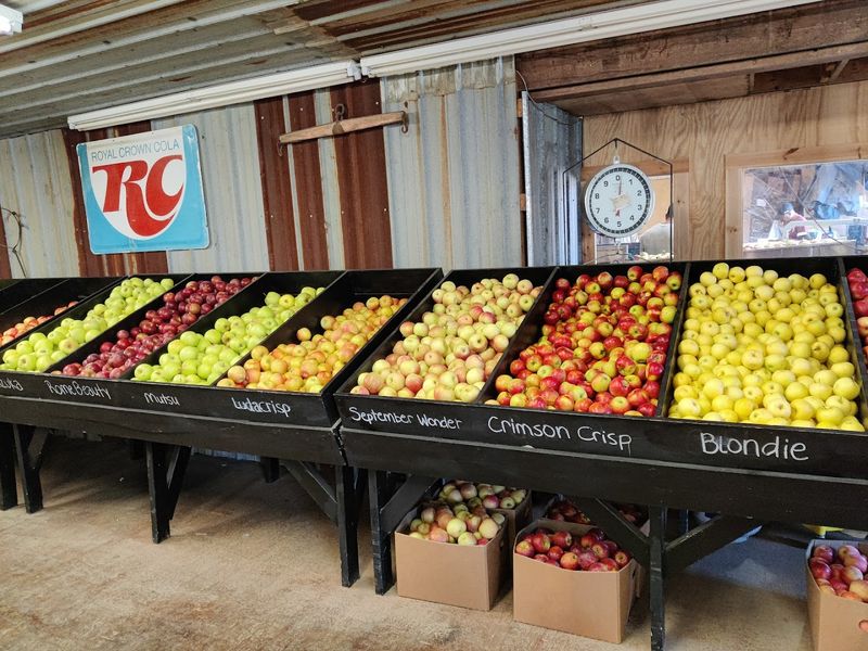 A Farm Shop Open Year-Round With Seasonal Surprises Every Visit