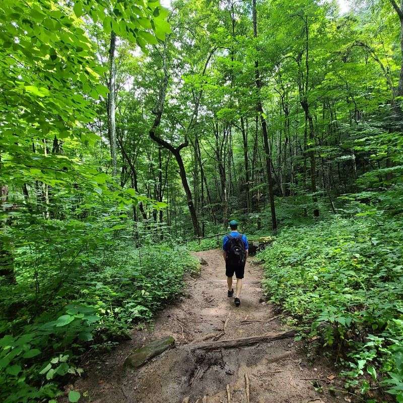 Hike Down Early Before The Best Viewing Spots Fill Up