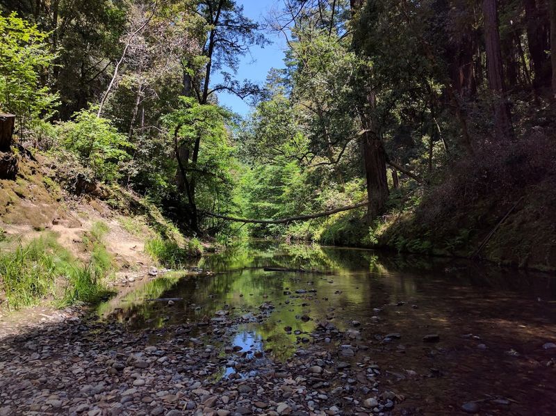12 Hidden California Swimming Spots That Make Summer Feel Like A Secret Escape - Decor Hint Pescadero Creek at Memorial Park, Loma Mar