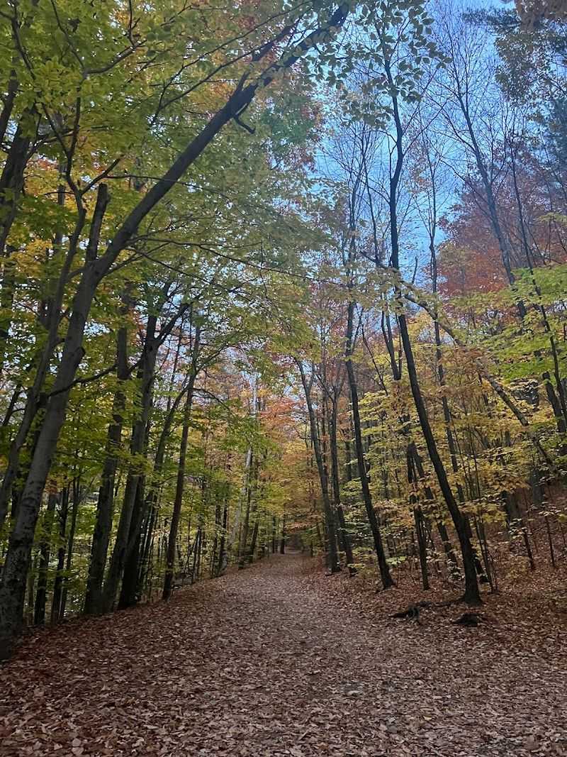 These 10 New Hampshire Easy Hikes That Save The Best Views For The Top - Decor Hint Mount Major, Alton