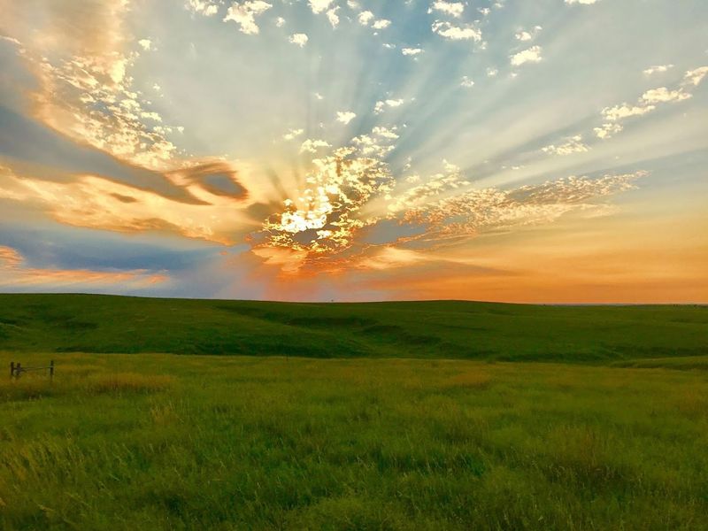 Willa Cather Memorial Prairie, Near Red Cloud