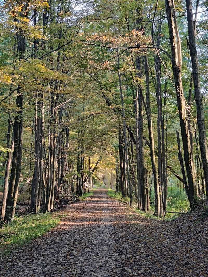 Leave The Crowds Behind On These 10 Dreamy New York Bike Routes - Decor Hint Wallkill Valley Rail Trail