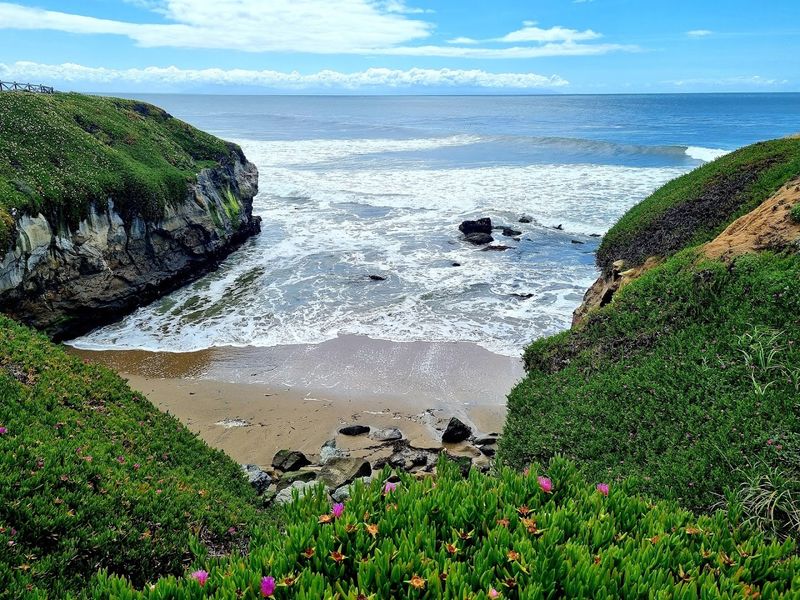 Natural Bridges State Beach, Santa Cruz