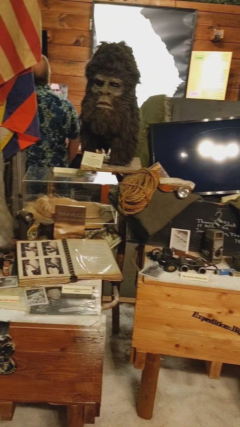 This Fascinating Georgia Museum Is Devoted Entirely To The Long Hunt For Bigfoot - Decor Hint Eyewitness Video Interviews That Feel Surprisingly Personal