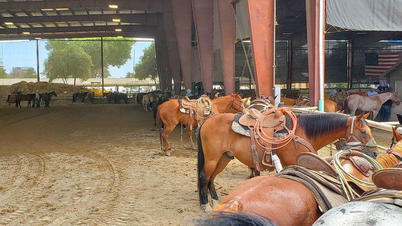 Livestock Shows And The Junior Auction Keep The Agricultural Roots Strong