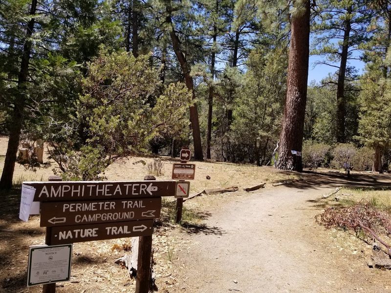 Idyllwild Nature Center, Idyllwild