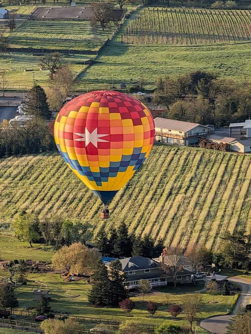 Santa Rosa Gets A Sky Full Of Colorful Giants