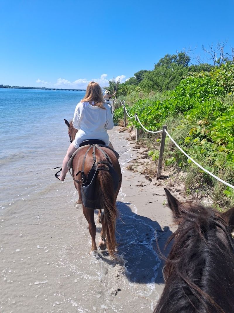 Palomino Ranch & Tours LLC, Key Biscayne