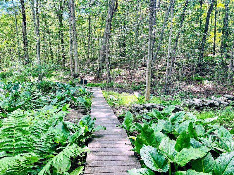 Greenwich Audubon Center, Greenwich