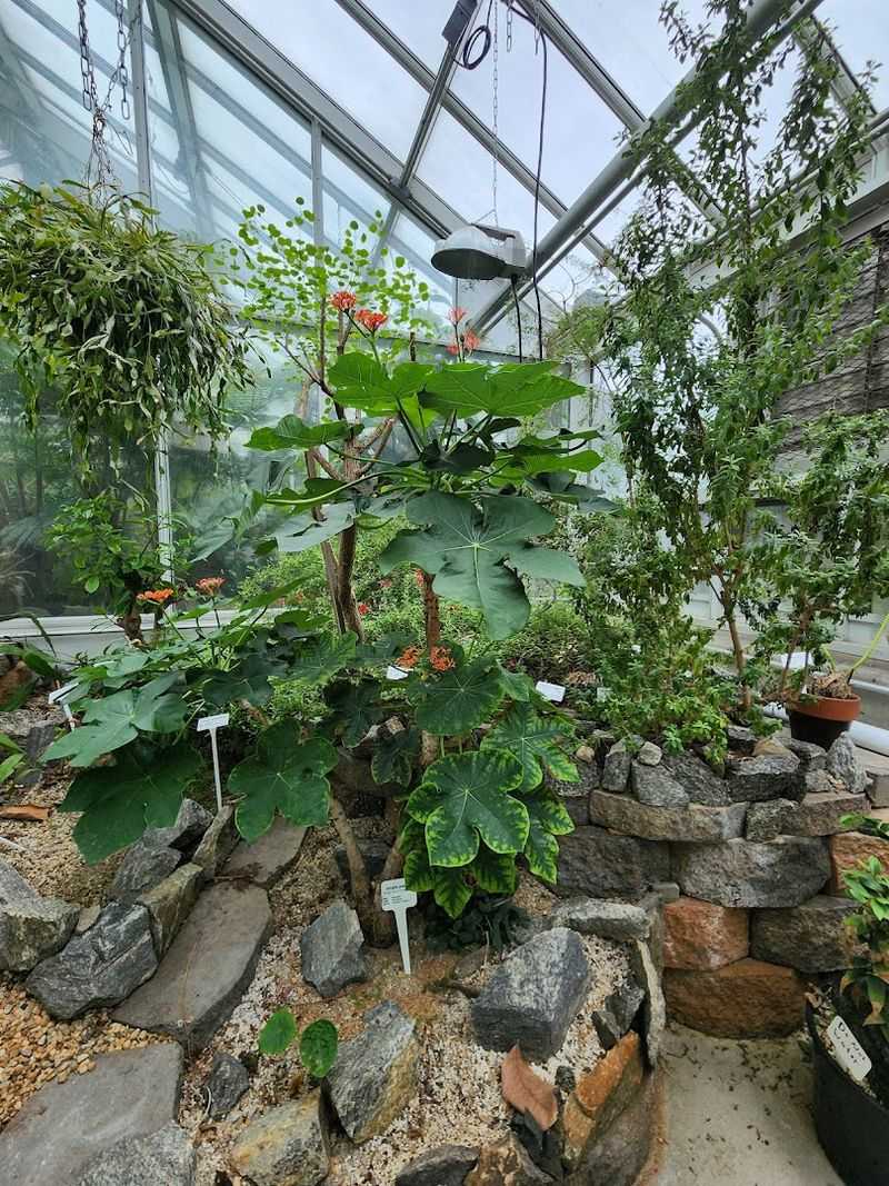9 Connecticut Gardens That Feel Like Hidden Worlds - Decor Hint Marsh Botanical Garden, New Haven