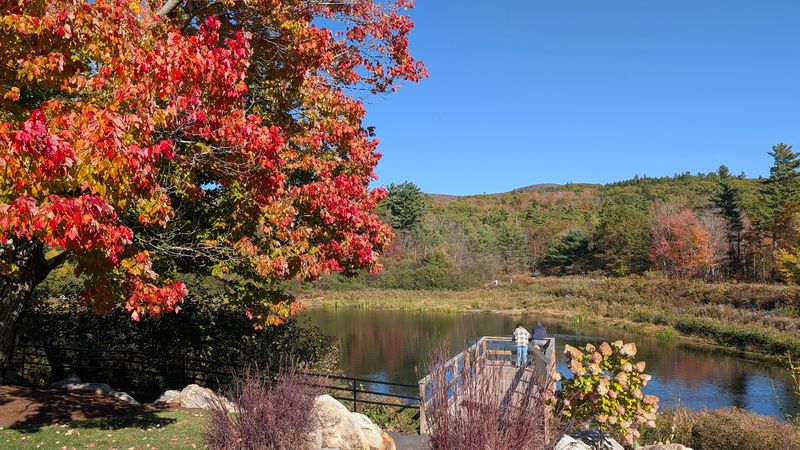 Views Over Lake Winnipesaukee
