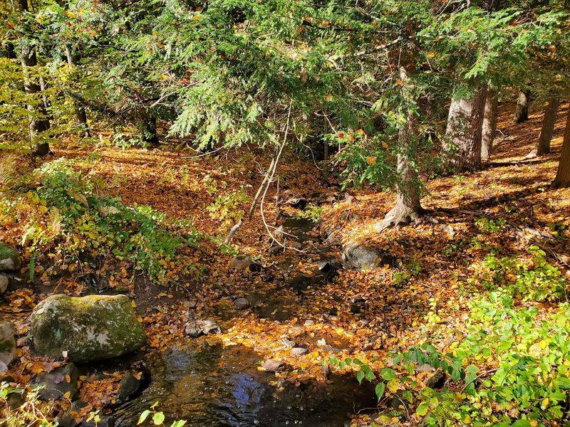Machimoodus State Park, East Haddam