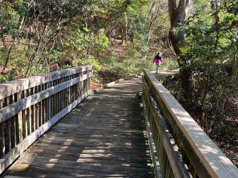 The Multi-Use Path Works For Walkers And Joggers Too