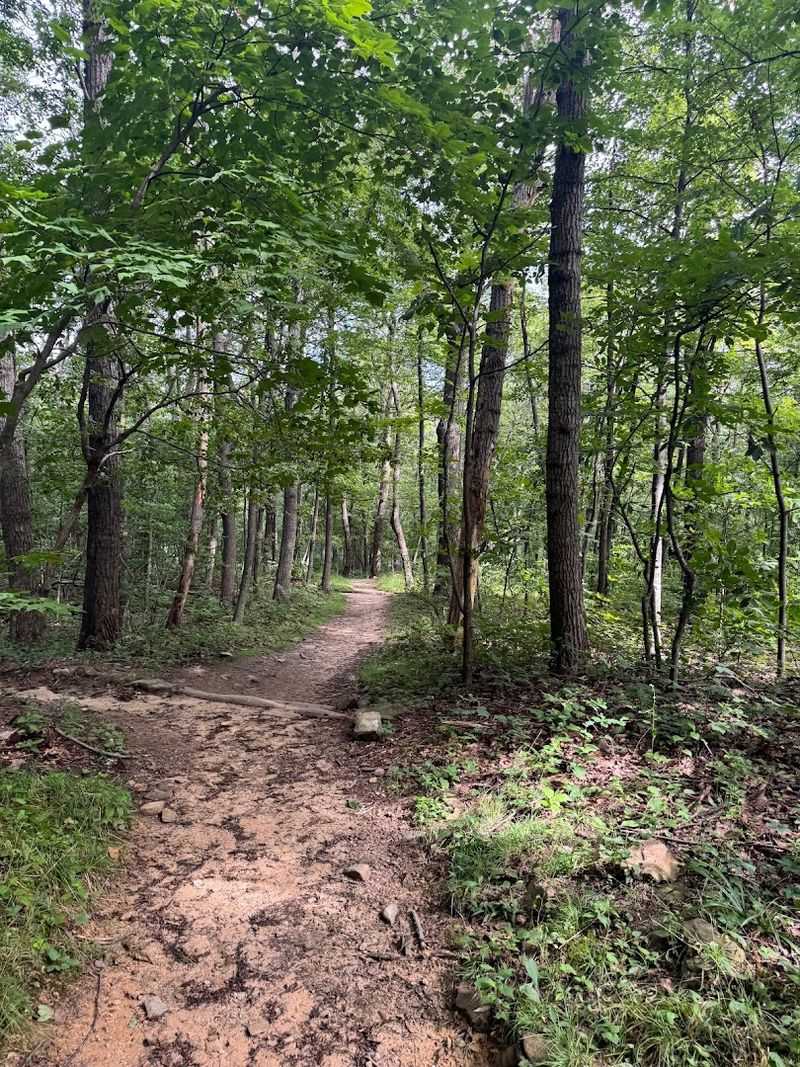 Compton Peak, Shenandoah National Park, Warren County