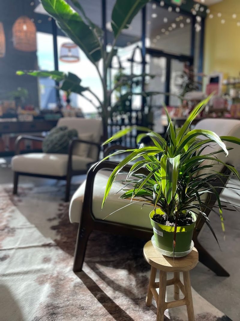Sunnyside Floral