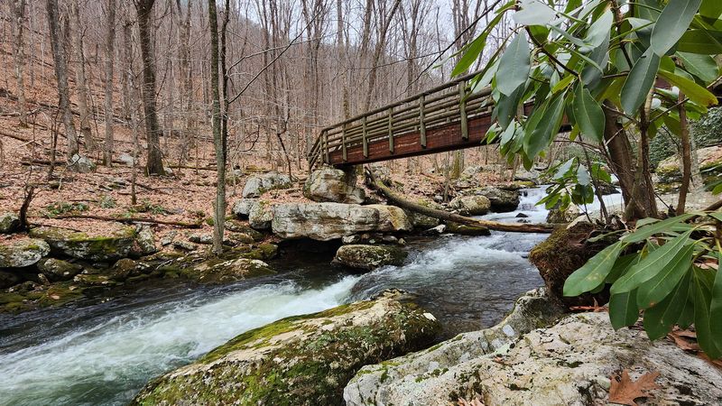 Choosing Between The Lower And Upper Trail