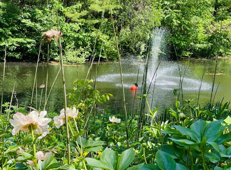 9 Connecticut Gardens That Feel Like Hidden Worlds - Decor Hint Cricket Hill Garden, Thomaston